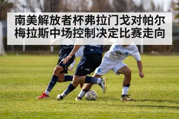 南美解放者杯弗拉门戈对帕尔梅拉斯中场控制决定比赛走向