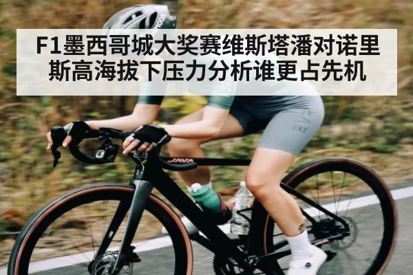 F1墨西哥城大奖赛维斯塔潘对诺里斯高海拔下压力分析谁更占先机